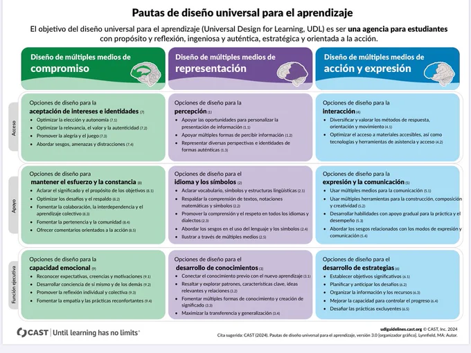 Organizador del DUA 3.0