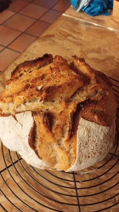 Pain fait maison, sortant du four, plutôt bien gonflé puisqu'il éclate plus profondément que les grignes