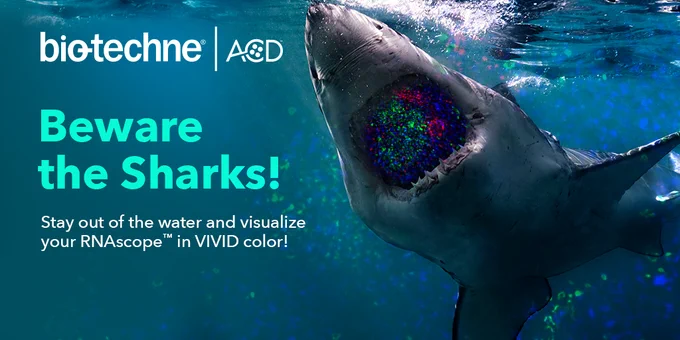 Celebrating #SharkFest2024 - See More in 2024! RNAscope Spatial Multiomics