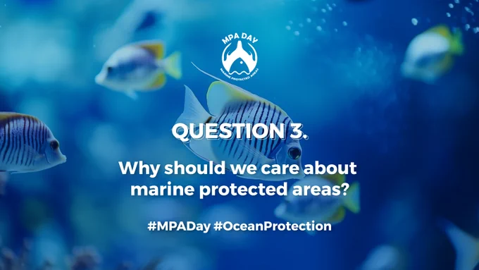 Why should we care about MPAs?