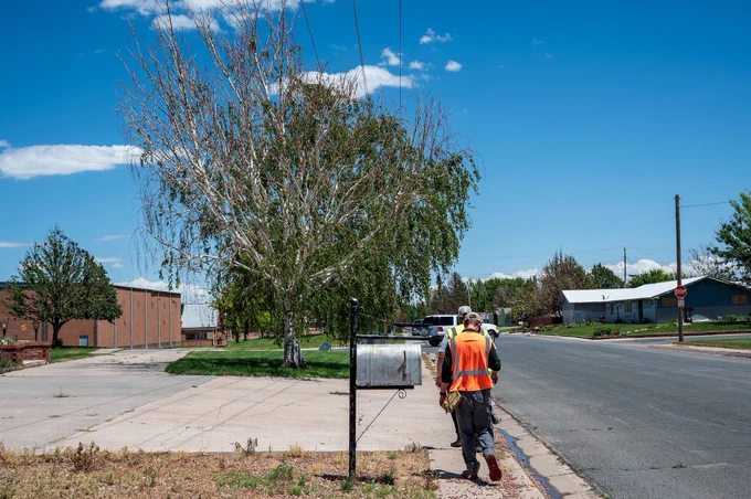 People surveying damaged trees along a sidewalk 