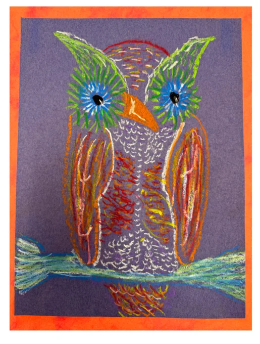 Artwork of hand drawn owl