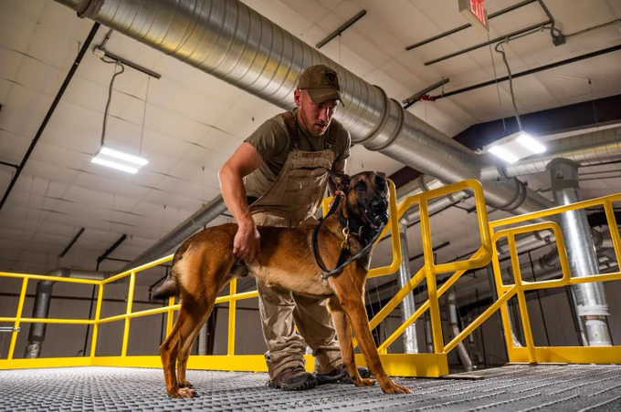 Military Working Dog handlers and students assigned to the 341st Training Squadron perform a series of demonstrations during the Department of Defense MWD Program Manager at Joint Base San Antonio-Lackland, Texas. The 341 TRS provides training to military working dogs used in patrol, specialized missions and drug and explosive detection for the DoD and other government agencies.