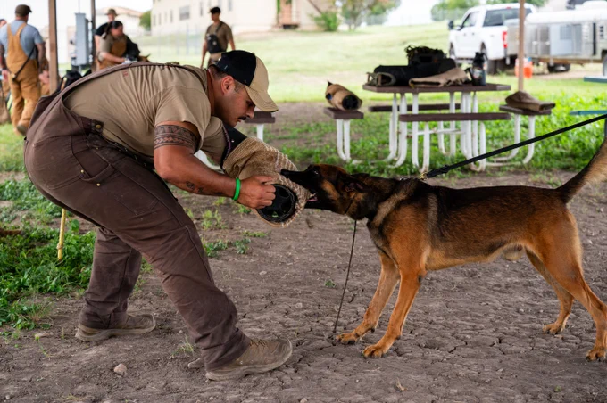 Military Working Dog handlers and students assigned to the 341st Training Squadron perform a series of demonstrations during the Department of Defense MWD Program Manager at Joint Base San Antonio-Lackland, Texas. The 341 TRS provides training to military working dogs used in patrol, specialized missions and drug and explosive detection for the DoD and other government agencies.
