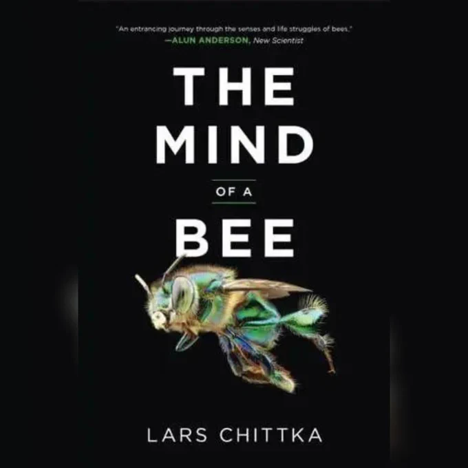 Lars Chittka the mind of a bee book cover