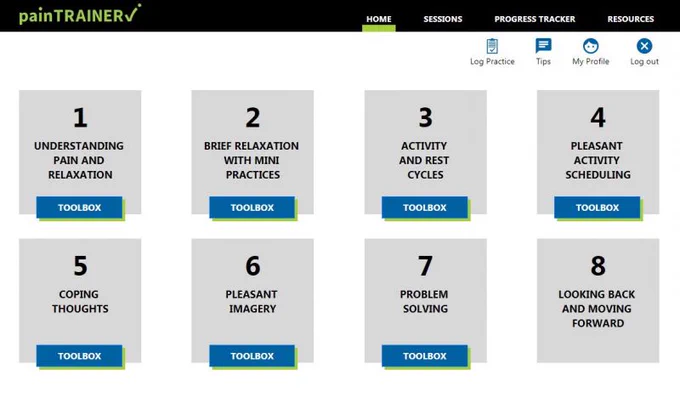 An image of the PainTRAINER website