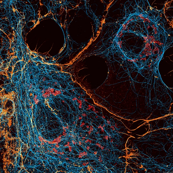 Trafic cellulaire

Par Maxime Teixeira @universitelaval