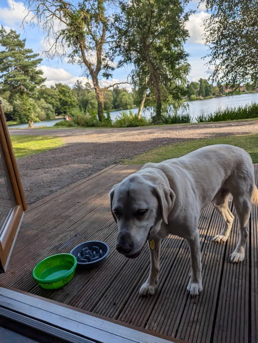 Uri having his food with lake behind him 