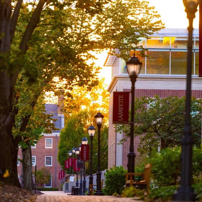 A sunset view of a sidewalk on Lafayette College's campus, with buildings visible to the right. Banners with "Lafayette" written on them hang along the walkway.