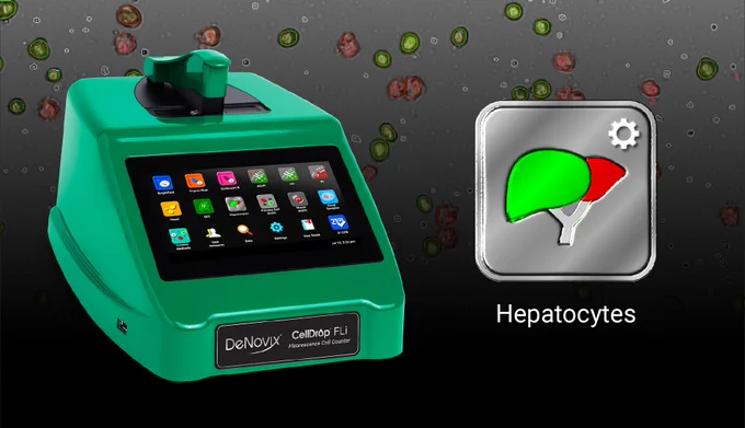 Automated counting of hepatocytes on the DeNovix CellDrop FLi Automated Cell Counter