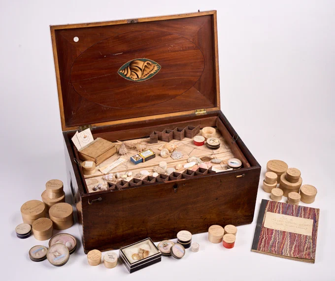 Photograph of a wooden box made for shell collections. Next to the box is a notebook and some smaller round individual shell boxes. 