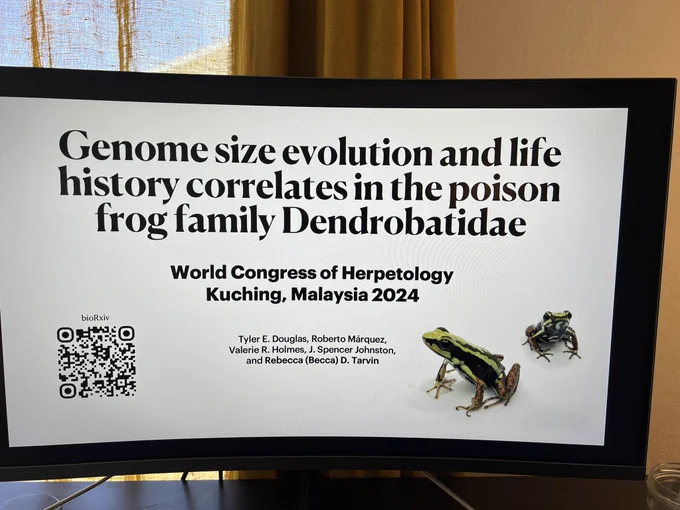 Genome size evolution in dendrobatid poison frogs: Wednesday (aug 7) 11am room 3