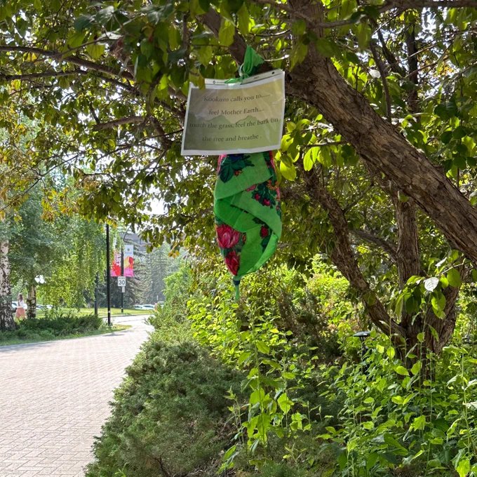A kokum scarf attached from a tree outside the Education Tower and Classroom Block. The scarf is a  call to feel Mother Earth... touch the grass, feel the bark on the tree and breathe. 