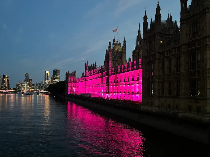 The Palace of Westminster at dusk, from the side. It is illuminated pink, which is reflecting on the water.