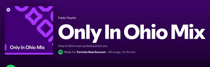 spotify "Only In Ohio Mix"