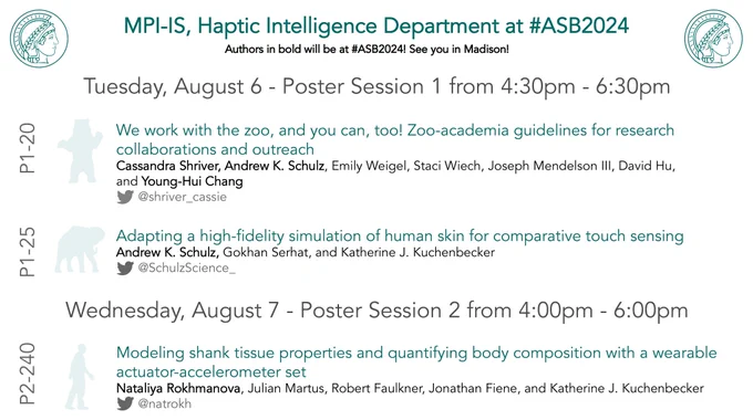 Poster listing the presentation of Max Planck Institute for Intelligent Systems (MPI-IS) attendees to the American Society Biomechanics 2024 meeting in Madison, Wisconsin. Posters presented include P1-20 and P1-25 on Tuesday, August 6 – Poster Session 1 from 4:30pm-6:30pm. Also Poster P2-240 on Wednesday, August 7 – Poster Session 2 from 4:00pm-6:00pm. 