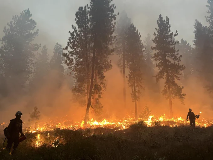 Wildland firefighters conduct a firing operation at night on the Limepoint Fire in Idaho. 