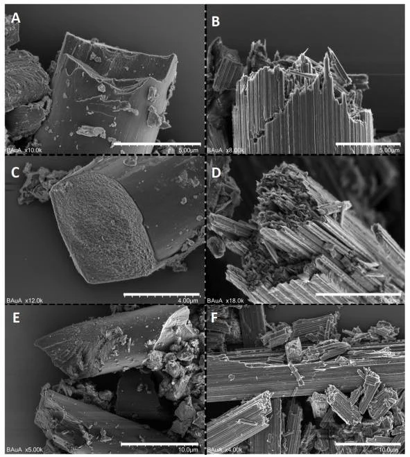 Image 4 
A, C, E - Pan
B, D, F - Pitch
Source: https://aaqr.org/articles/aaqr-19-03-oa-0149 

