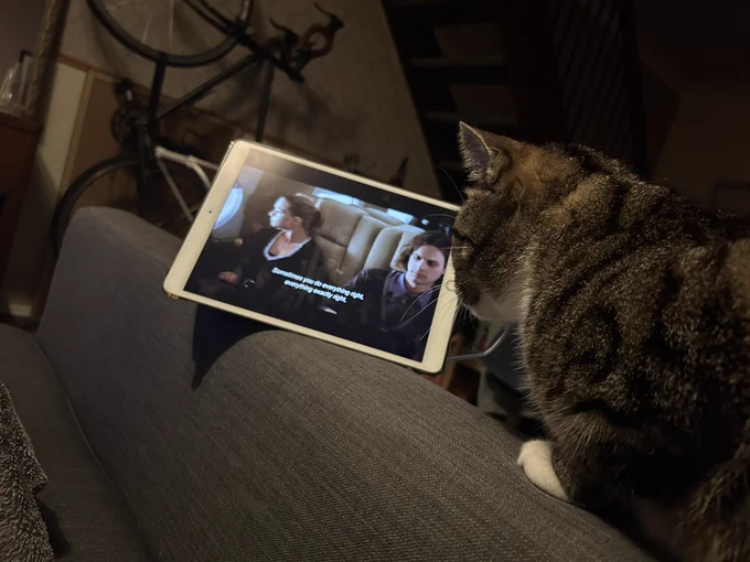 Photo of a tabby cat watching Criminal minds on an iPad. The scene playing shows Reid and JJ.