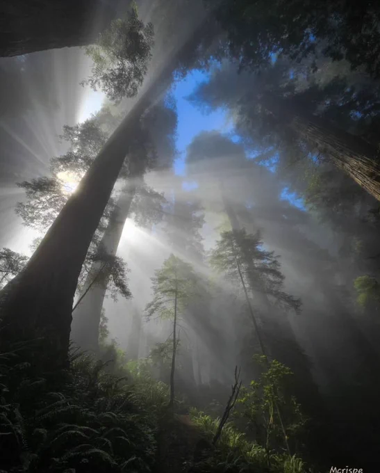 Photography by thecrispeoutdoors
