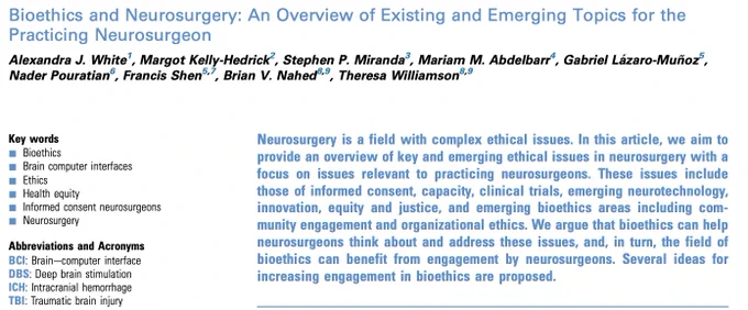 screenshot of abstract of paper