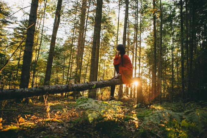 women sitting on a log as the sun sets in the distance. 