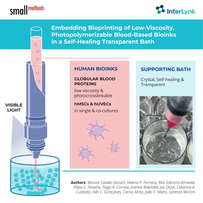 Embedding Bioprinting of Low-Viscosity, Photopolymerizable Blood-Based Bioinks in a Self-Healing Transparent Bath