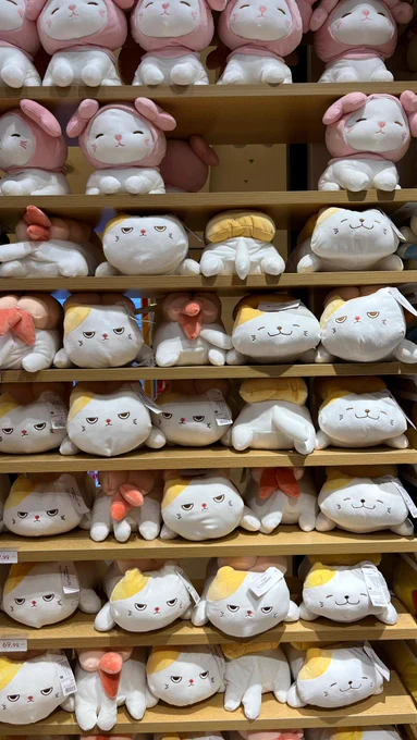Timisoara road trip started and ended entirely in the miniso shop :D

Check out my portfolio on @Shutterstock 👇

https://www.shutterstock.com/g/Hitra?rid=193867524&utm_medium=nativeapp&utm_source=ctrbreferral-link

#HelloKitty #Kuromi
#Keroppi #Pompompurin #Hangyodon #TuxedoSam 
#OSARUNOMONKICHI
#CoroCoroKuririn
#TENORIKUMA #HANAMARUOBAKE
#ButtonNose