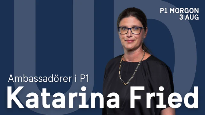 Ambassadörer i P1, Katarina Fried. 