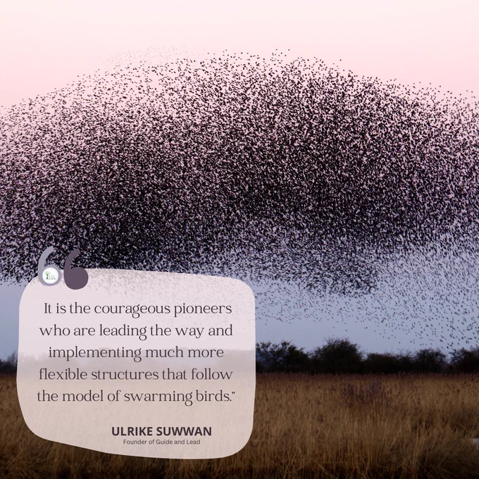 Picture of a starling murmuration and a quote: "It is the courageous pioneers who are leading the way and implementing much more flexible structures that follow the model of swarming birds.” Ulrike Suwwan