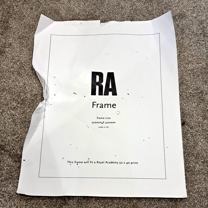White stiff paper from a Royal Academy of Arts for a 500mm x 400mm frame. The cat has been puncturing it with his claws and teeth, and generally jumping on it to go skidding across the carpet, having a marvellous time. He's happy, safe and making art.