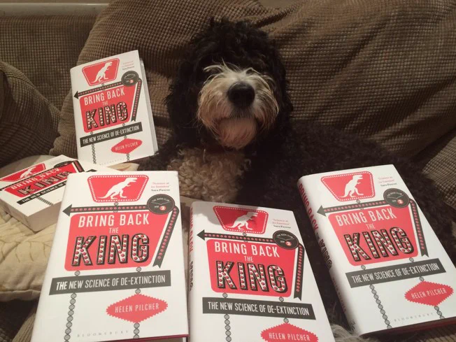 Helen's dog Higgs, posing with her book - 'Bring Back the King' 