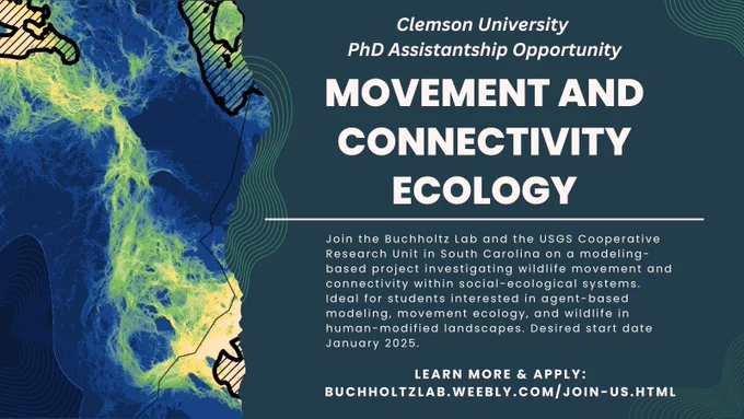 This picture is an ad for a PhD assistantship at Clemson University. It has text on it that says Join the Buchholtz Lab and the USGS Cooperative Research Unit in South Carolina on a modeling-based research project investigating wildlife movement and connectivity within social-ecological systems. Ideal for students interested in agent-based modeling, movement ecology, and wildlife in human-modified landscapes. Desired start date January 2025. Learn more and apply at buchholtzlab.weebly.com/join-us.html