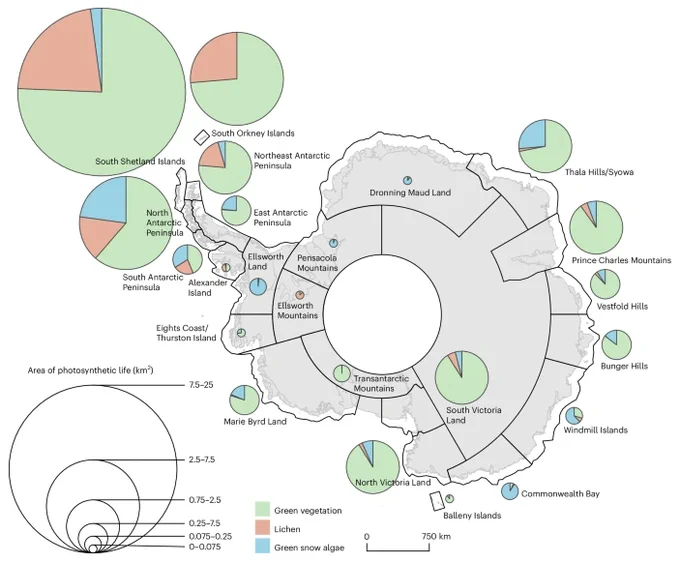 Map of Antarctica with variably-sized pie charts representing vegetation within Antarctica’s bioregions