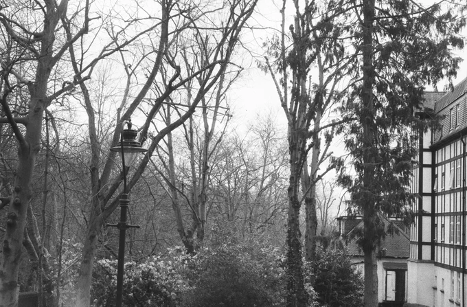 black and white image of trees with no leaves and an old fashioned lamppost, to the right is part of a mock Tudor style building, one of the Holly Lodge estate blocks of flats