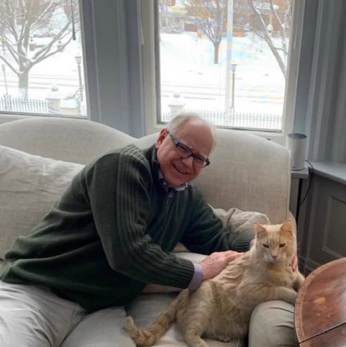 Governor slash VP nominee Tim Walz sitting on a couch petting his orange cat