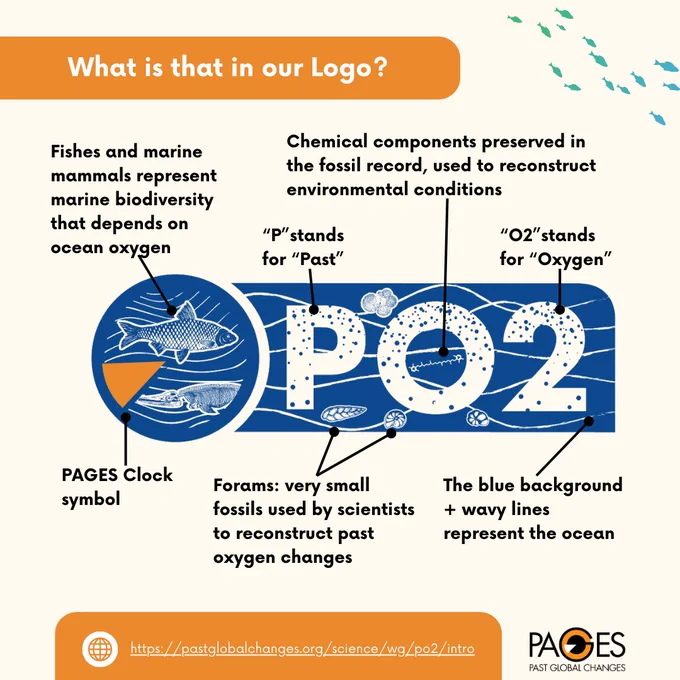 This is our Logo: On the left we have the PAGES clock representing time, inside you can see fishes and marine mammals representing the marine biodiversity that depends on ocean oxygen (although there is much more biodiversity down there…). To the right, we see the PO2 which stands for “Past Oxygen”, floating in a blue background with white curves representing the Ocean. If you look closer inside the “O” you can see a symbol representing the chemical components preserved in the fossil record, one of the tools that scientists use to reconstruct environmental conditions. Also floating in the blue background we have four different forms of foraminifera (or “forams” for short). These are very small (microscopic) organisms that inhabit the oceans at almost all depths and geographic locations, which due to their diversity and abundance are a key tool to understand how oxygen changed in the past some thousands or even millions of years ago!