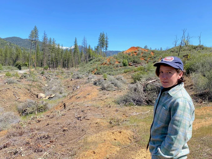 Bethany Llewellyn looks over a part of the Weaverville Community Forest where underbrush and other flammable vegetation was recently removed.