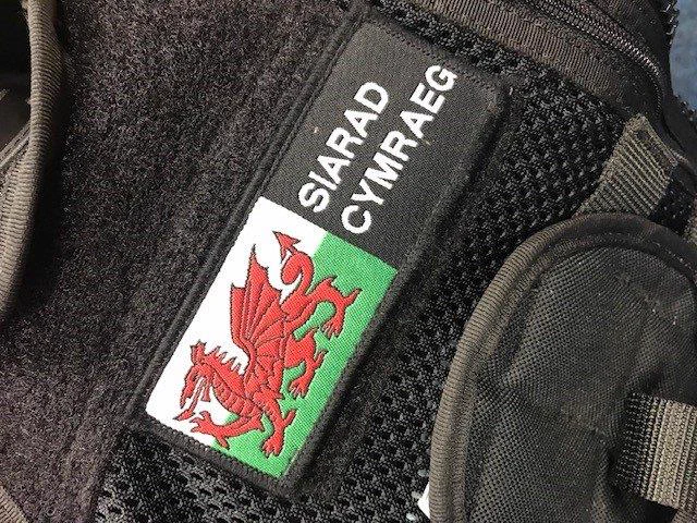 Bathodyn cymraeg
