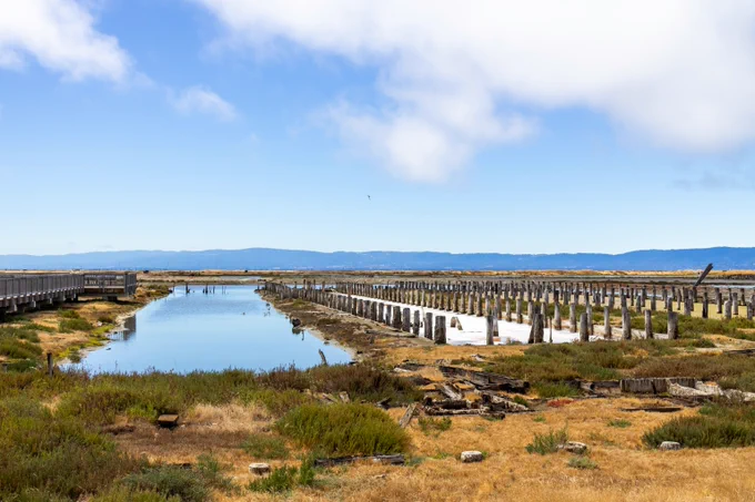 The remains of the Salt Ponds on the tour of the Salt Pond Restoration Tour. Photos by Joey Kotfica. 