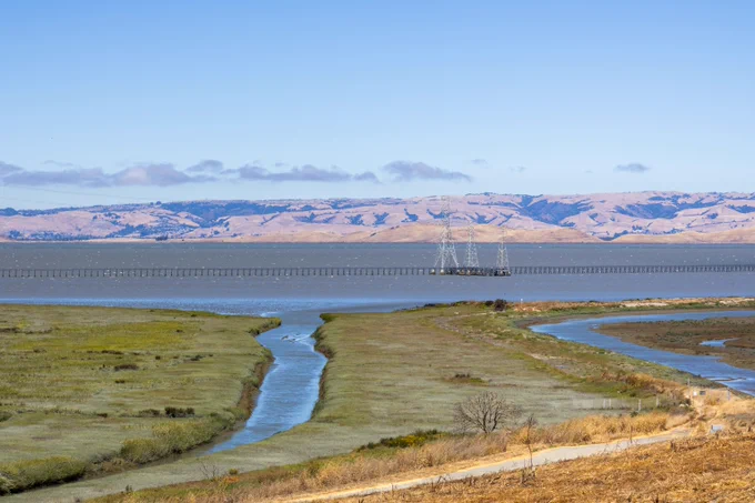 The SFBRA tour of the South Bay Salt Pond Restoration Project. Photo by Joey Kotfica