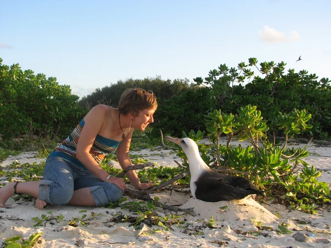 Sarah sitting on a sandy beach beside a Laysan Albatross on its nest. The albatross reaches its neck toward Sarah in curiousity, and Sarah adoringly looks into the eyes of the bird. There is vegetation in the background (naupaka). 