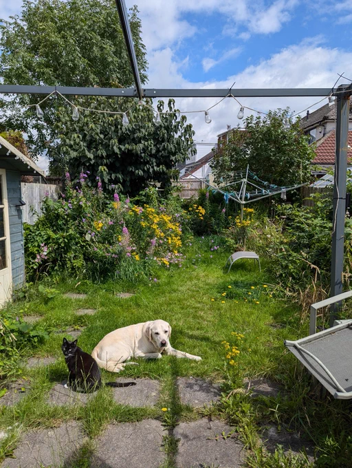 Uri and Wilf together is an overgrown garden 
