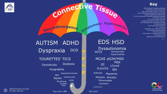 complex infographic of connective hypermobility neurodivergence umbrella .  SEDSconnective logo and Key with lots of text of conditions and symptoms AUTISM ADHD Dyspraxia EDS  HSD Dysautonomia 