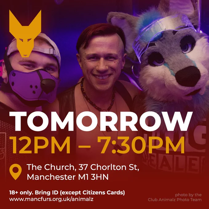 MancFurs, tomorrow from 12pm to 7:30pm. Located at The Church, 37 Chorlton Street, Manchester. M1 3HN.

18  only. Bring ID (except citizens cards).
For more information, visit our website: https://www.mancfurs.org.uk/animalz.

Photo is of three people, including a pup and a fursuiter. Photo was taken by the Club Animalz photo team.