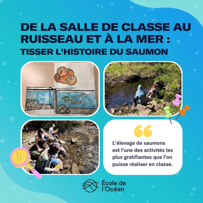 Le texte se lit comme suit : De la salle de classe au ruisseau et à la mer : tisser l'histoire du saumon. Une citation se lit comme suit : "L'élevage du saumon est l'une des choses les plus gratifiantes que l'on puisse faire en classe. Trois images sont disposées sur le dessin : la première est un dessin de saumon réalisé par un élève, la deuxième représente deux élèves assis sur la rive d'une rivière et la troisième un groupe d'élèves qui relâchent des poissons dans la rivière.