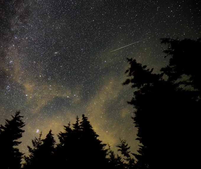 Stars, dramatically lit clouds of gas and dust, and Perseid meteors (a streak just above a treetop at right) fill the night sky. The image is framed by the silhouette of trees. Credit: NASA/Bill Ingalls