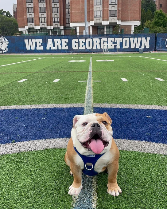 Jack sits on Cooper Field with a sign behind him reading "We Are Georgetown"