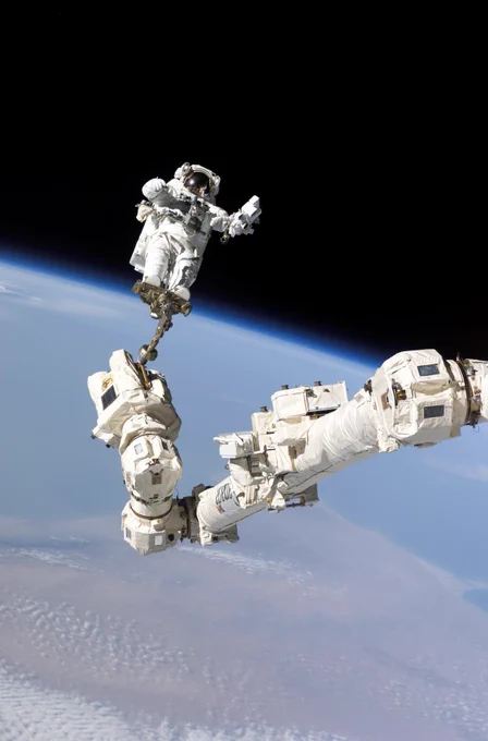 Astronaut Stephen K. Robinson, STS-114 mission specialist, anchored to a foot restraint on the International Space Station;s Canadarm2, participates in the mission;s third session of extravehicular activity (EVA). The blackness of space and Earth;s horizon form the backdrop for the image. Photo Credit: NASA