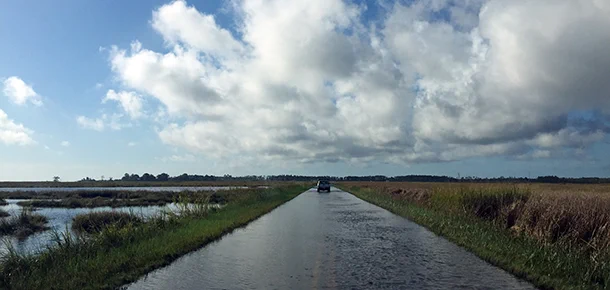 A car drives on a flooded road surrounded by wetlands on either side.